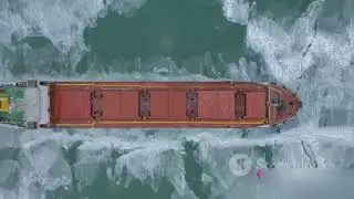 Archimedes Principle | Buoyancy Force | Physics | Fluid Mechanics