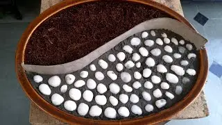 How to make TRAY GARDEN with PATIO PART-1 | DIY -  TRAY GARDEN and DIY- PATIO part-I