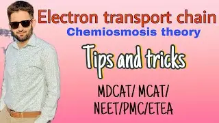 Electron transport chain | Chemiosmosis theory | cellular respiration | @doctoracademypk