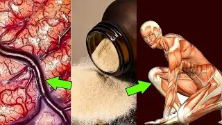 Scientists Just Discovered The Dark Side Of Collagen