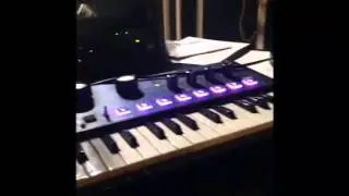 TEDE SIR MICH WUNDERBAUM STUDIO SNIPPET