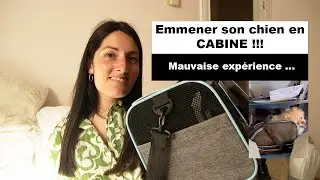 Emmener son chien en cabine + Expérience désastreuse