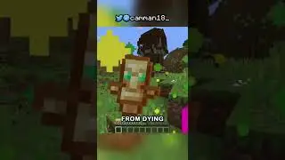 WHY DOES THE TOTEM OF UNDYING EXIST?!?!!