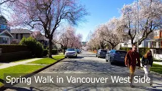 4K Vancouver BC Canada - Vancouver West Side Spring Walk Tour - Arbutus Ridge | Living in Canada