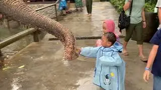 Keseruan di Bali Zoo, Gianyar, Bali 2025