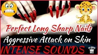 NEW AGGRESSIVE ASMR VIDEO! REALLY SHARPENED NAILS SCRATCHING HARD POOR SKIN! (second part)