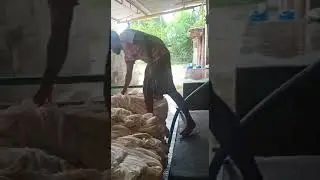 Winch dyeing process