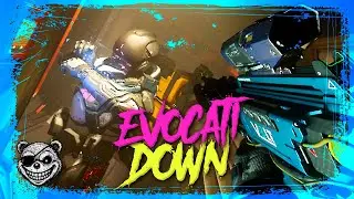 Evocati Down: E'Tam Seized - Star Citizen Piracy