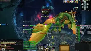 Valithria Dreamwalker 10HM - Holy Paladin - Warmane - Lordaeron