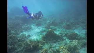 Meikon Underwater Camera Housing for Sony A6000 kitlens Cinematic Test