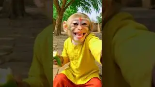 A Cute Laugh with a Banana Bite &ndash; Watch Lalu&rsquo;s Fun! 🍌😄#shorts