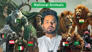 All Nations And There National Animals 😳