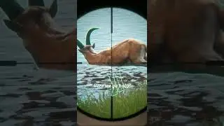 20 Meters from a MONSTER IBEX!!! 😳😳😳 - Call of the Wild #shorts