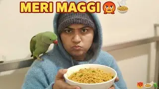 Kya Laddu Parrot Maggi Share Karega? 😲🍜 | Full Drama | Cute Parrot Video
