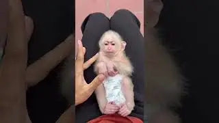 Bibi cute😍