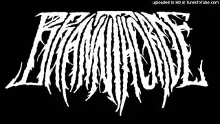Brannthorde - Taufe in Feuer (old DEMO 2012)
