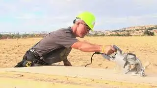 Trus Joist EWP Floor Installation