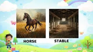 Animal Homes for Kids 🐶🐦 Learn Where Animals Live | Part 1