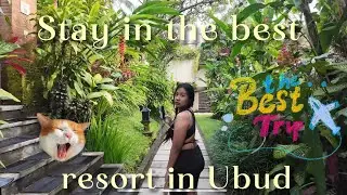 Holiday in Ubud at best resort in Ubud ( Nandini Jungle by Hangging Garden )
