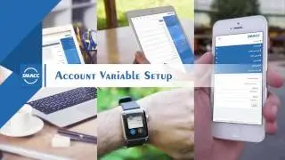 Financial Accounting - Setup - Account Variable Setup