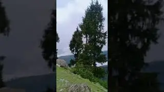 Swat shangla bahadar sar the most beautiful place in Pakistan &hearts;️