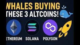 Top 3 Altcoins Whales Are Buying NOW 🚀 | Ethereum, Solana & Polygon Explained!