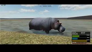 Croc vs Hippo Swim Test