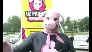 Jēkabpilie&scaron;i kopā ar Cūkmenu iesaistās &bdquo;&Scaron;ķirolūcijā