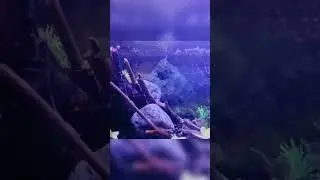 marine fish tank full setup.🐟🐠🐡 #youtube#fishtank#youtubeshorts #viralshorts