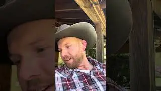 Helping a Head/Ear Shy Mule With Fly Mask