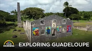 Exploring Guadeloupe: A Day on Marie-Galante | Your Morning