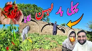 We Planted Garlic For The First Time Together | Full Desi Vlog