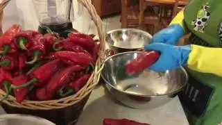 Tradição dos nossos Açores como se faz Pimenta Moída  --- Salgada e Curtume !