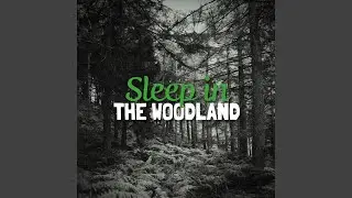 Woodlands Peace