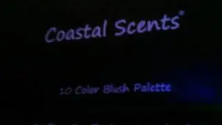 Coastal Scents Haul (28 Neutral E/S and 10 Color Blush Palettes)