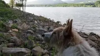 Jose A. Fern&aacute;ndez la pesca en Perchzilla en primavera 2016