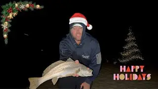 Merry Fishmas, The Good, The Bad & The Mulloway | NSW Land-Based Fishing