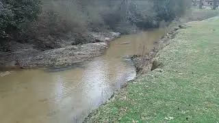 Hike Summary: Indian Springs State Park near Jackson, Georgia