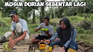 Ke Kebun Sawit Bersama Istri Makan Di Kebun Nikmat Juga Kawan | Pruning Sawit