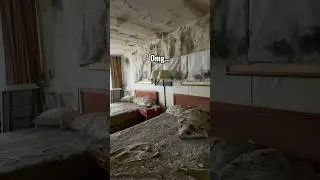 Black Mold Hotel Room