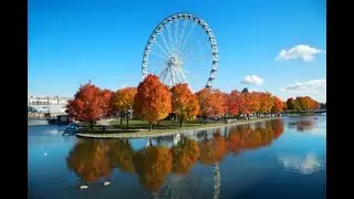 La ciudad donde puedes hablar inglés y francés todos los días | MONTREAL