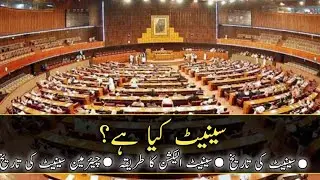 Senate Of Pakistan | What is Senate ? | How do senator Get Elected | By KinG Info TV