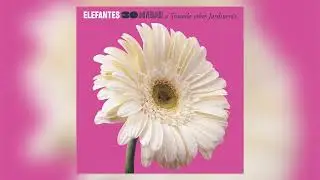 Elefantes - Sabor a mi (Audio Oficial)
