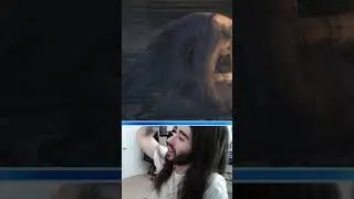 Bloodborne is hard