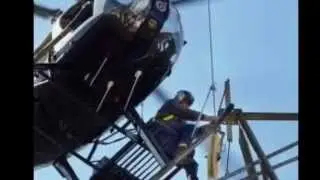 Power Linesman of Power Networks Group Ltd