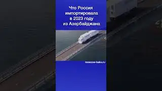 Что Россия импортировала в 2023 году из Азербайджана
