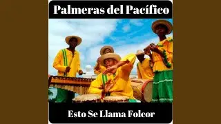 Negro Afrodescendiente