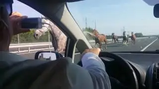 Meanwhile in Hungary. Highway 6. 😀