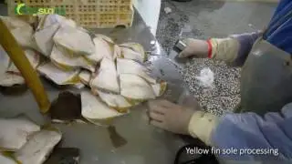 Yellow fin sole processing - Kingsun Foods