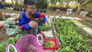 អូនឡុងបេះបន្លែយកទៅលក់